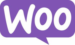 websa agence de creation de site internet geneve utilisation de woocommerce